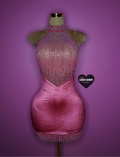 “Burlesque” deep pink/burgundy  velour rhinestone bling dress with collar.