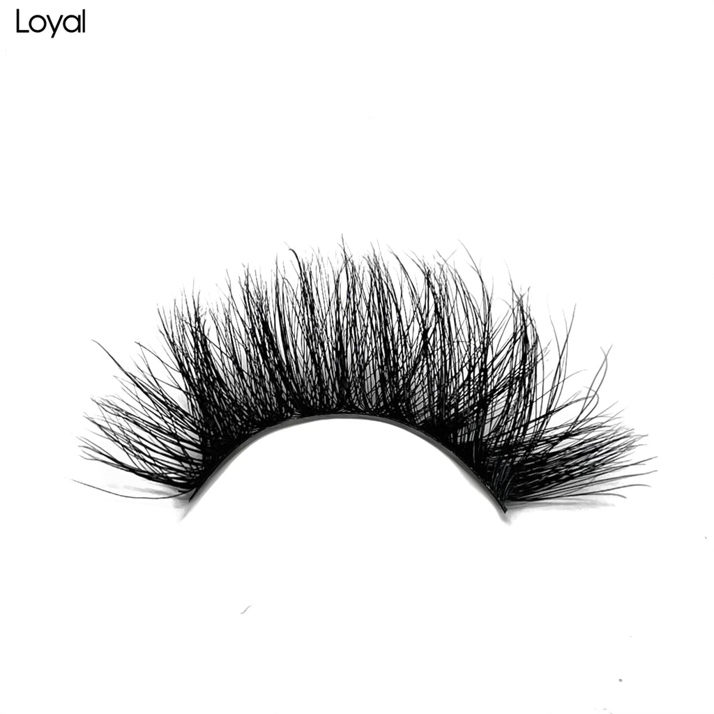 “Loyal” luxury lashes